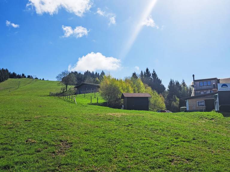 foto12