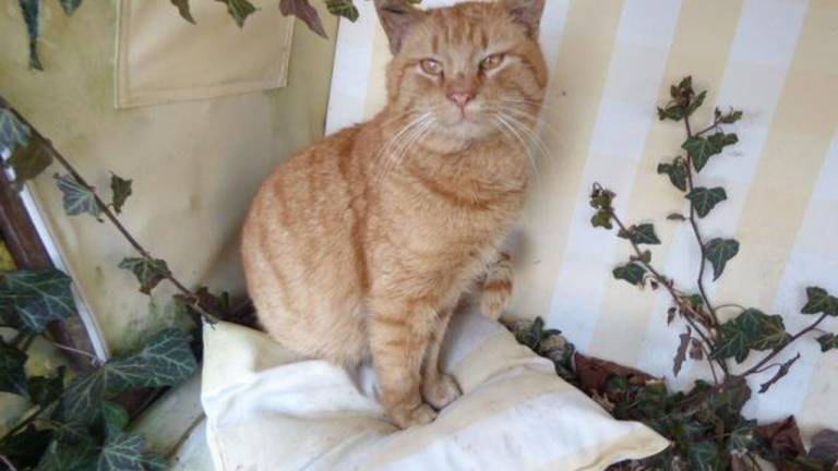 Ferienwohnung Berching