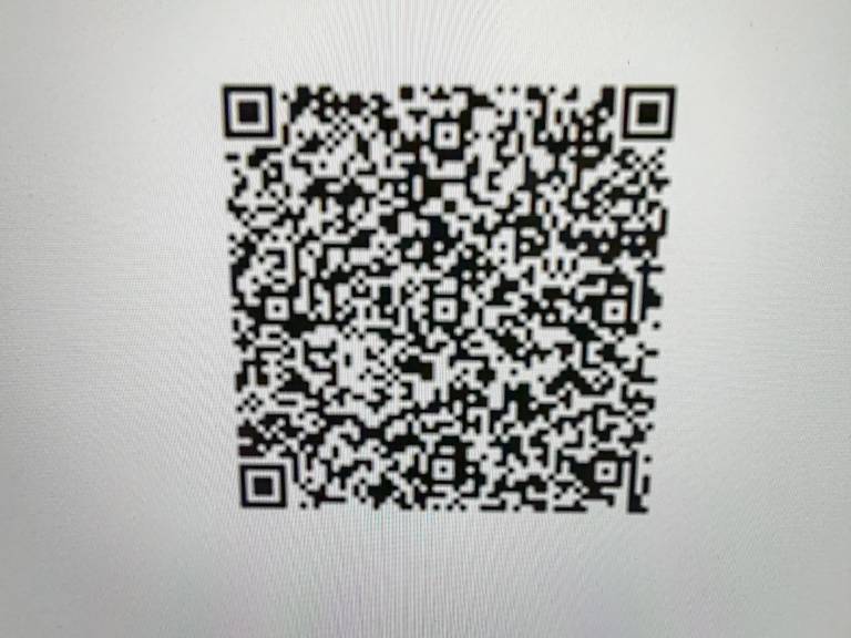 foto5
