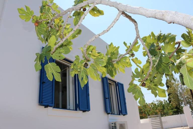 Ferienhaus Angistri