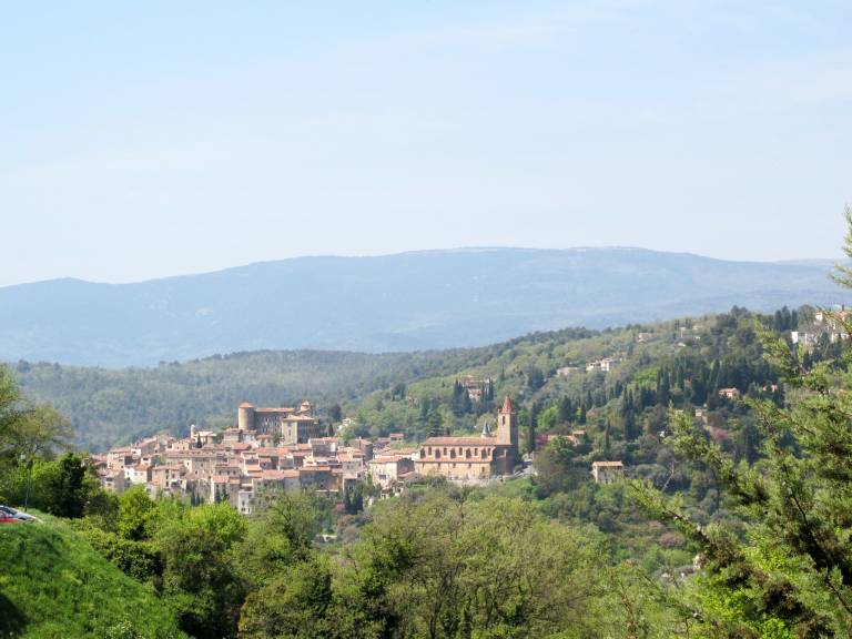 foto41