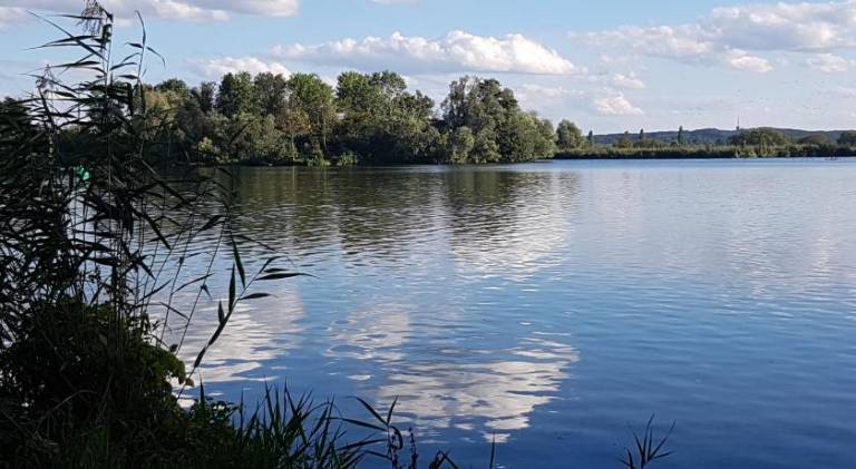 foto48