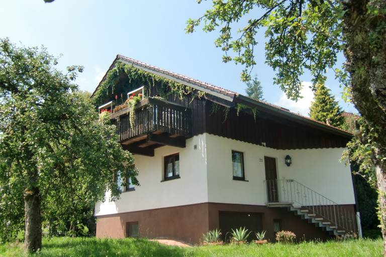 foto7