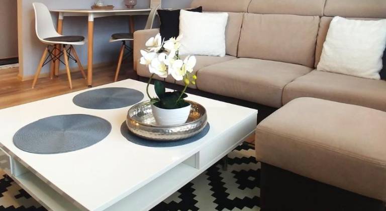 Apartment | Suitable for remote work in Bielsko-Biala