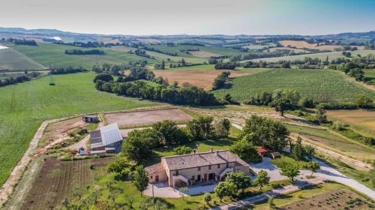 Casale Talevi: Ripa in Urbino