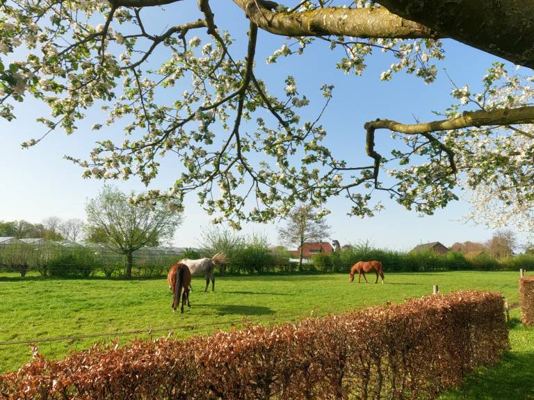 foto14
