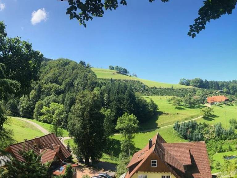 foto11