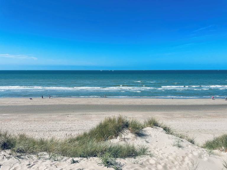 Ferienhaus De Panne