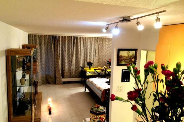 Apartment  Dietikon District