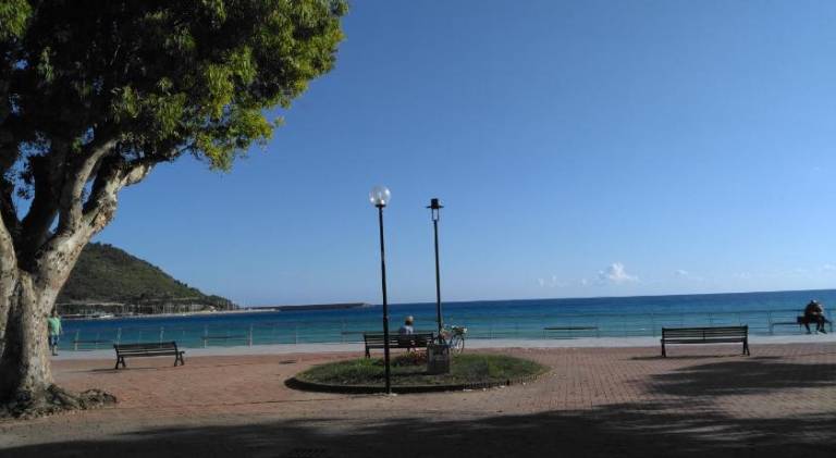 foto31