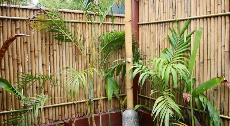 Padel and Palms Villas — photo 5