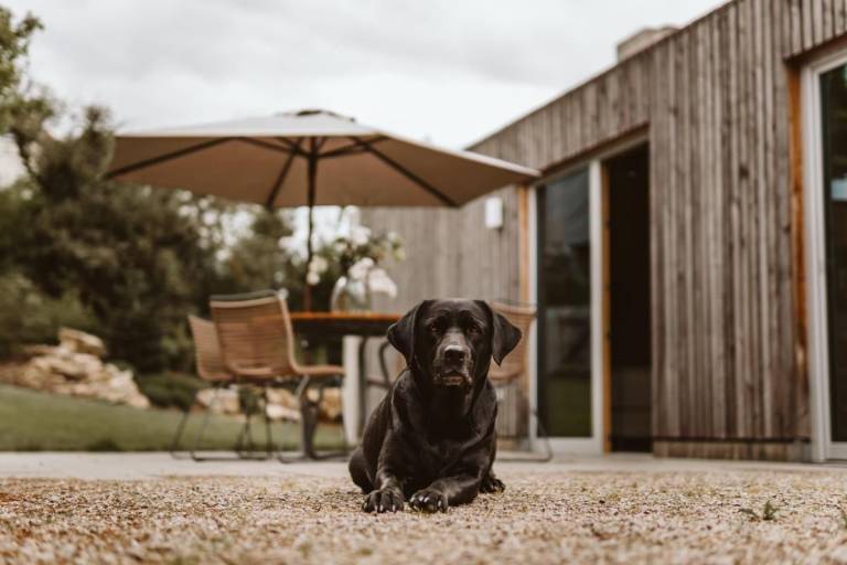 Children-friendly house with barbeque, sauna & patio | Good for workation | Dogs allowed — photo 3