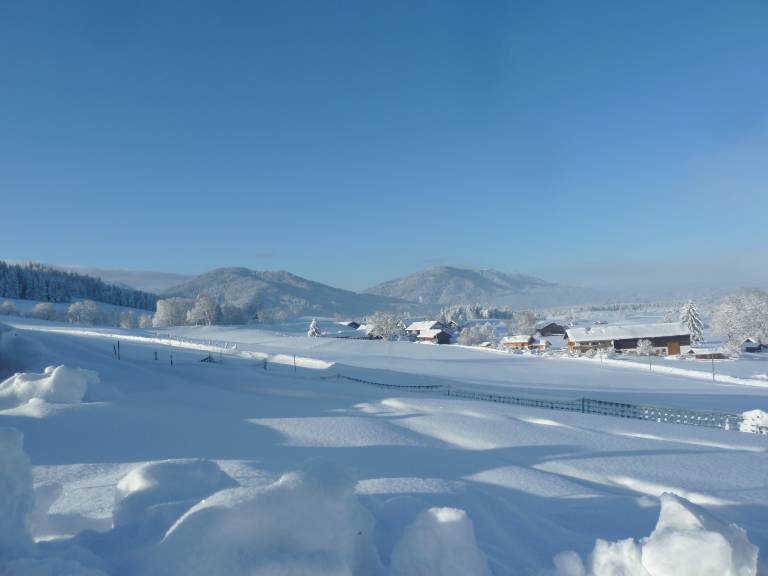 foto6