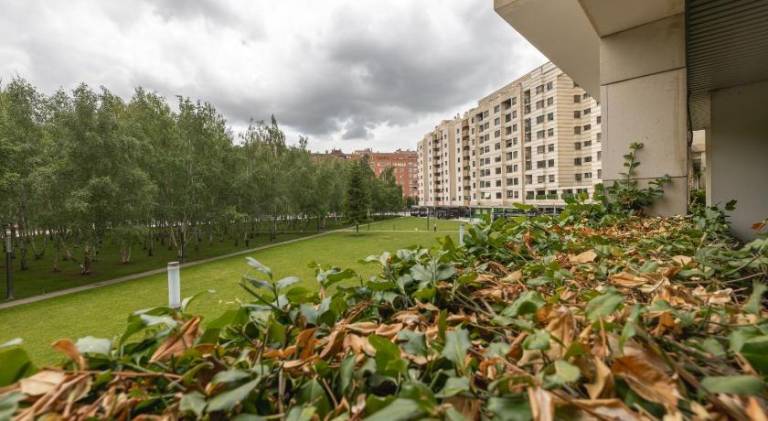Apartment with 2 rooms for 6 persons — photo 4