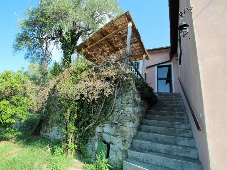 foto7