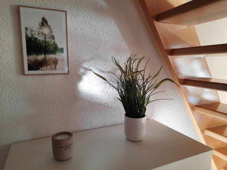 foto22