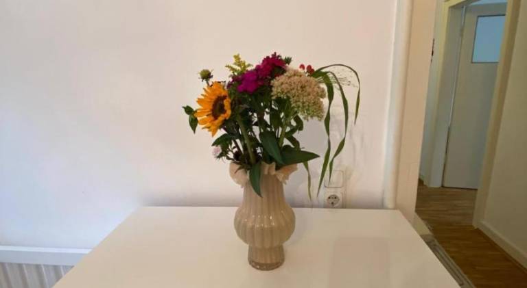 foto22
