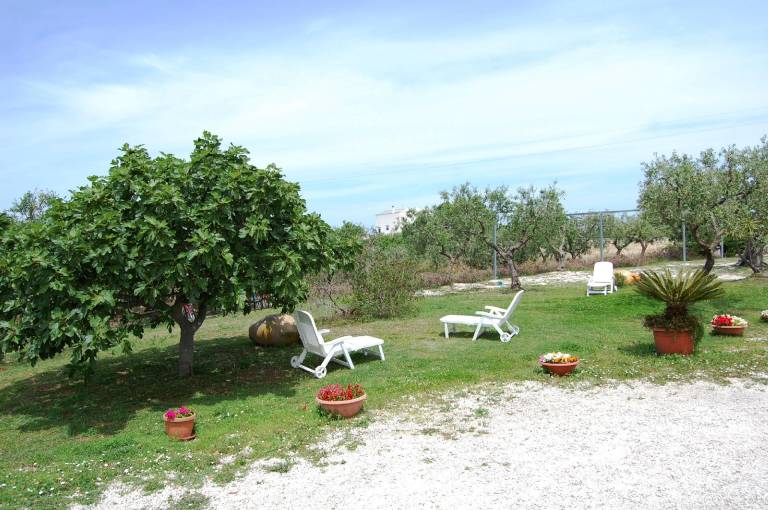 foto6
