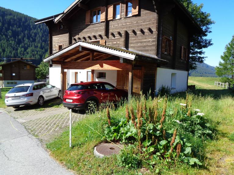 Ferienwohnung Obergesteln
