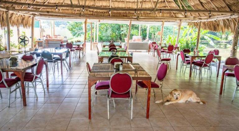Drift Inn Cayo — photo 5