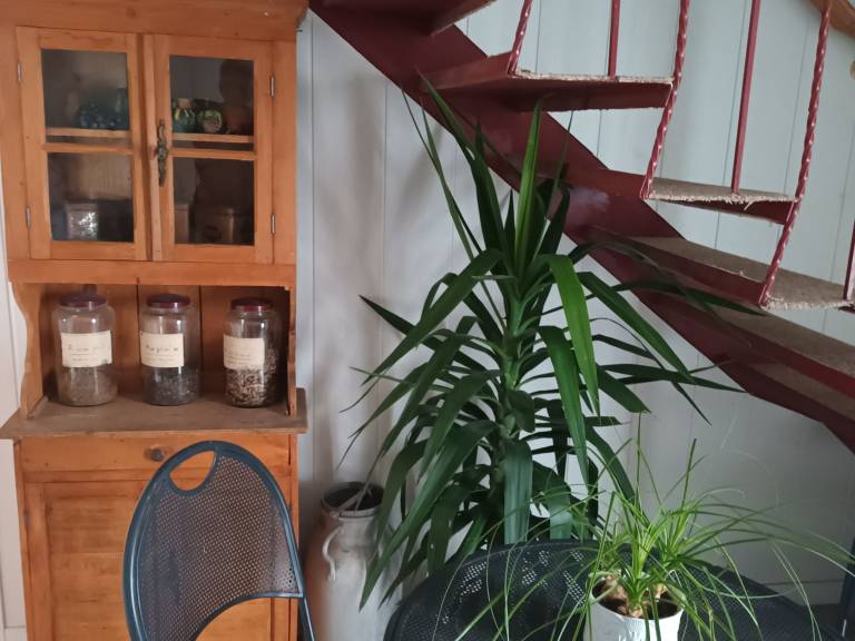 foto16