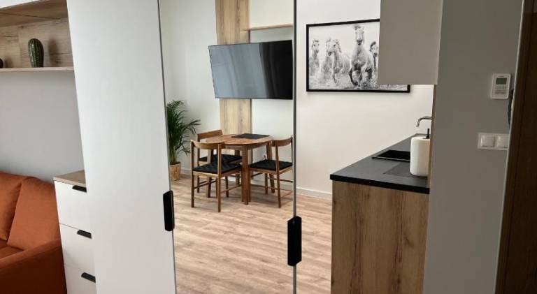 Wonderful apartment | Pets allowed in Wroclaw