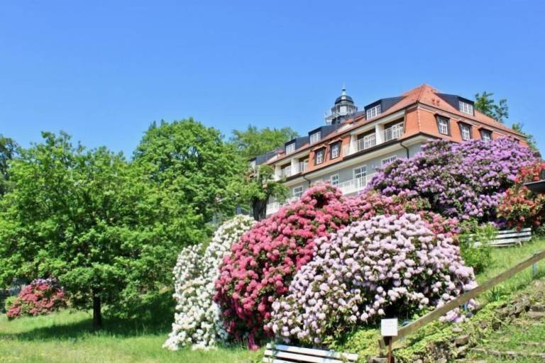 Leilighet  Loschwitz