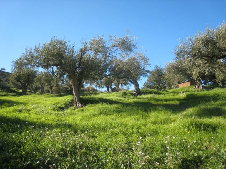 foto6