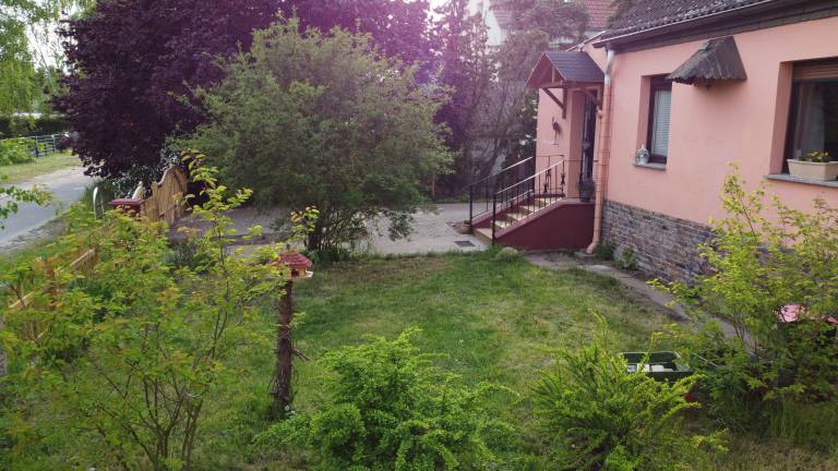 foto21