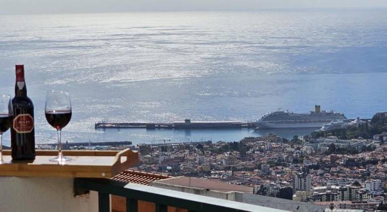 House with yard, grill & patio in Funchal
