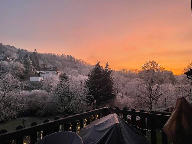 foto2