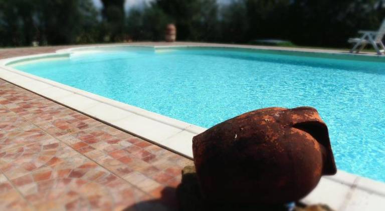 Farm with grill, yard & private pool | Dogs allowed in Sinalunga
