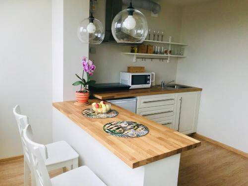 Apartament Troki
