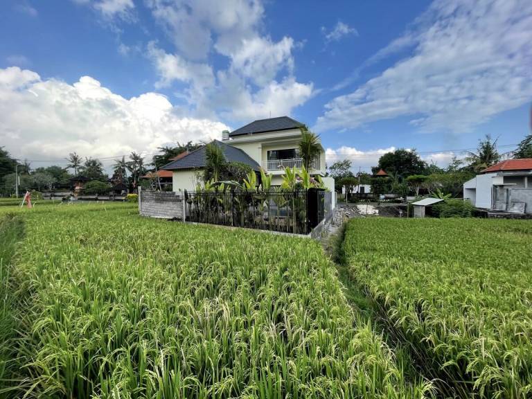 Villa  Mengwi