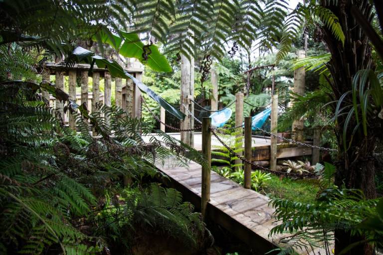 Accommodation Coromandel