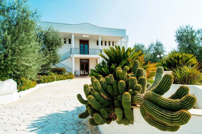 Giardino Degli Ulivi: Residence familiare per 4 — photo 5