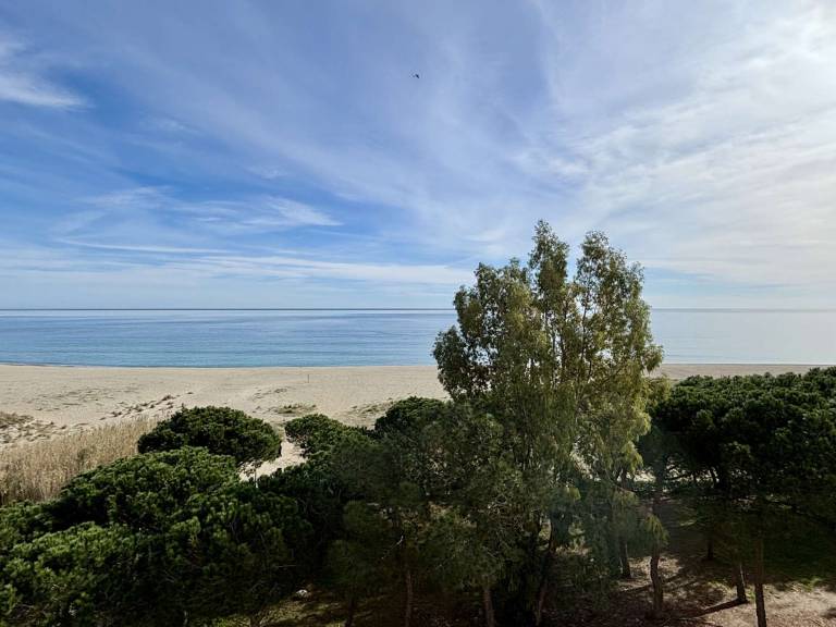 Studio cabin with private parking and pets allowed 50m from the beach - Argelès-sur-Mer — photo 4