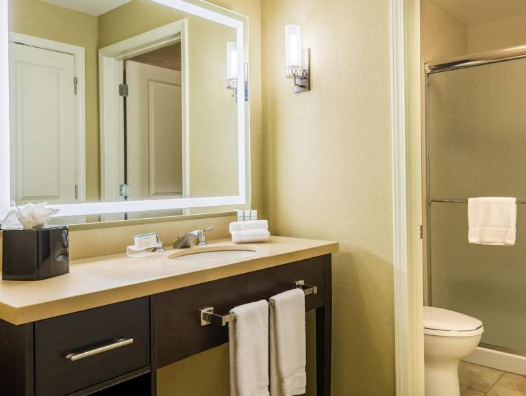 Homewood Suites by Hilton Little Rock Downtown in Little Rock, AR