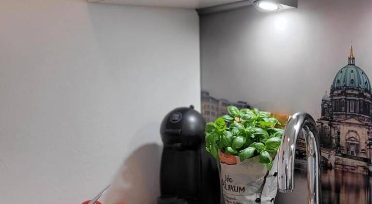 foto31