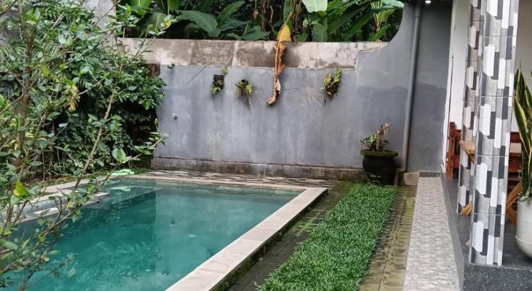 Villa with pool — photo 3