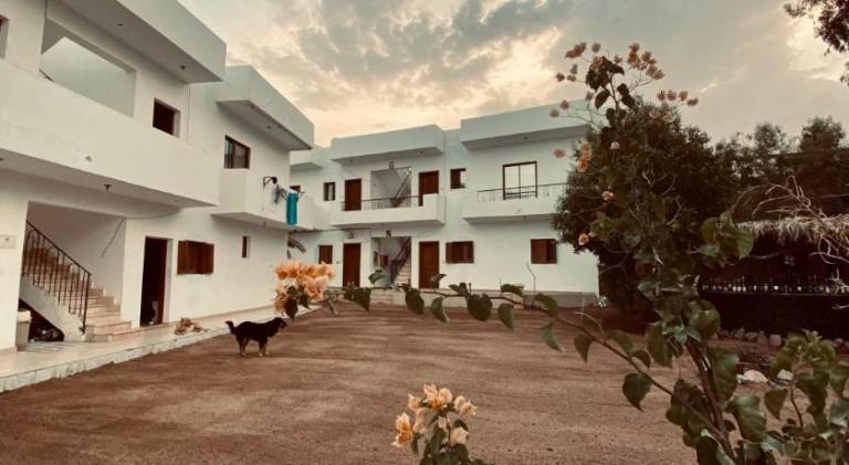 Saleh house — photo 4