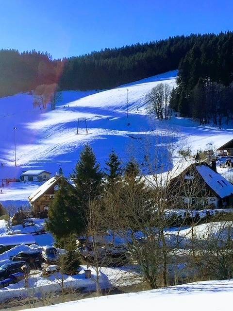 foto41