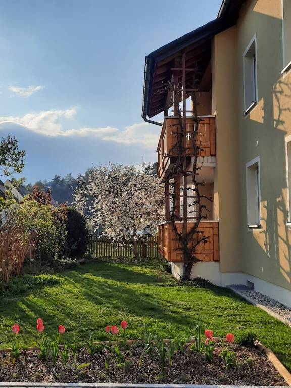 foto41