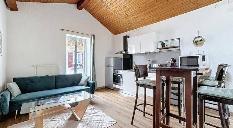 Pleasant rental apartment | Pet-friendly — photo 3