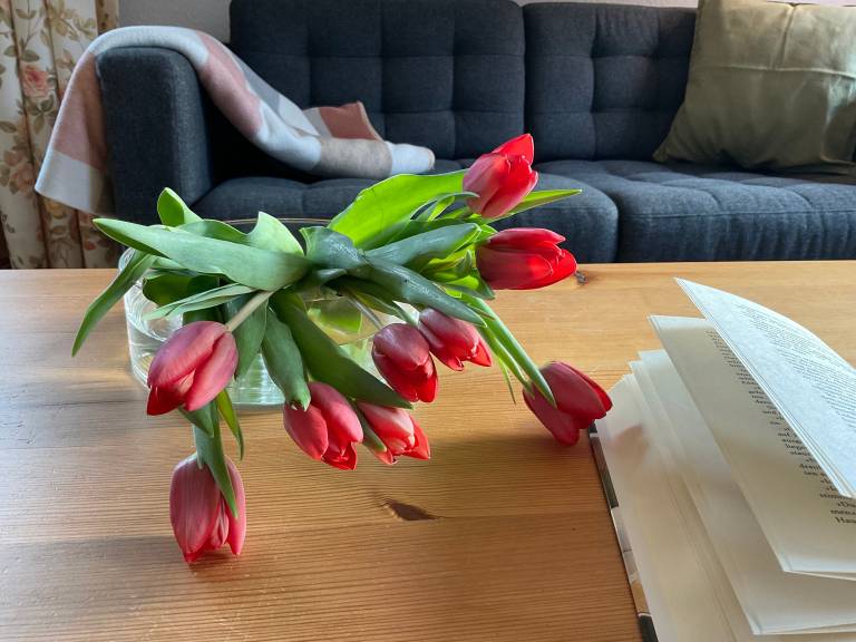 foto10