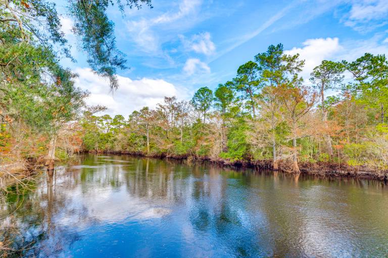House  Dunnellon