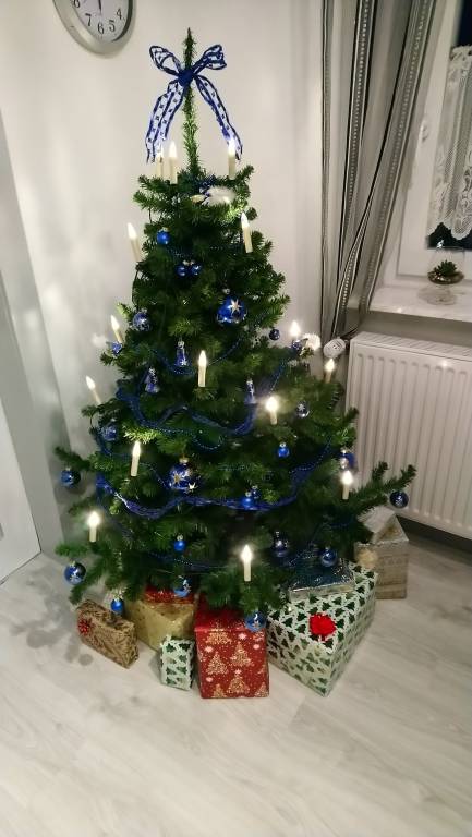foto20