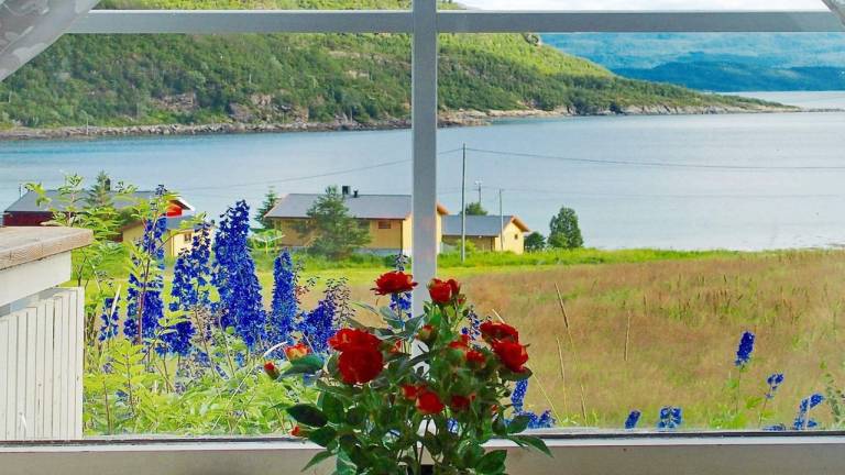 Ferienhaus Senja