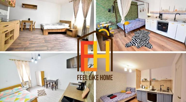 Beautiful apartment with garden | Good for workation | Dogs allowed in Sibiu