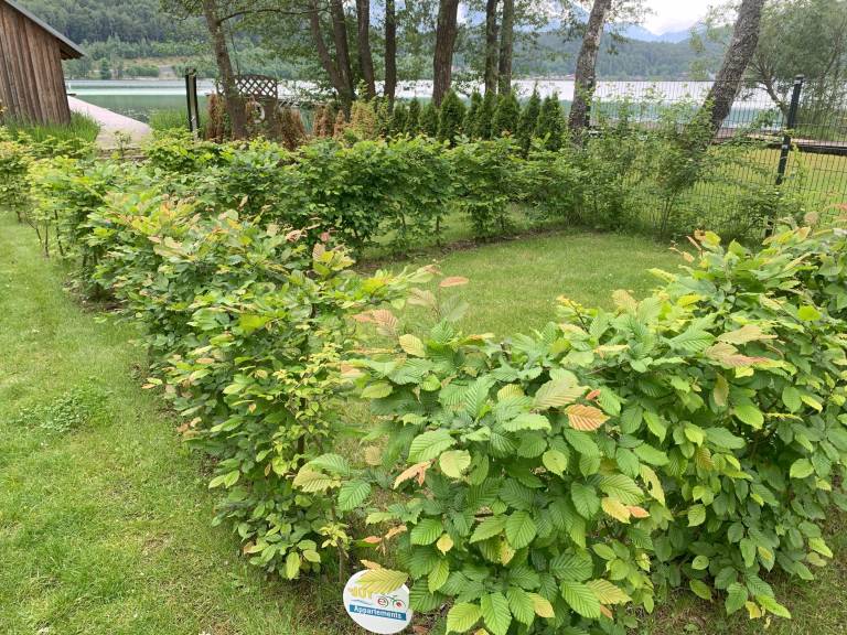 Holiday apartment with sauna, terrace & heated pool | Garden view | Perfect for remote work — photo 3